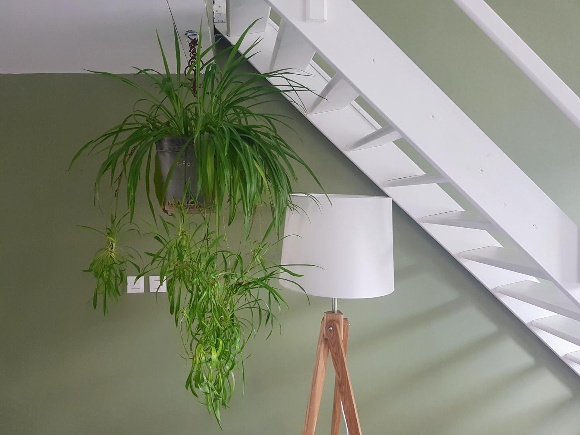 Tournus Castrum Romain- Loft 90M2 - 3 Etoiles - Petit Box Velo - 5Mn Autoroute Номер фото